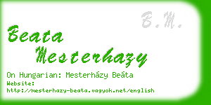 beata mesterhazy business card